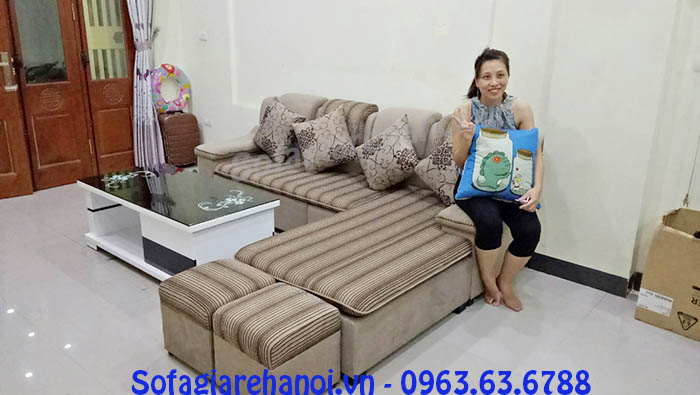 Hình ảnh ghế sofa nỉ chữ L bài trí trong phòng khách gia đình Việt